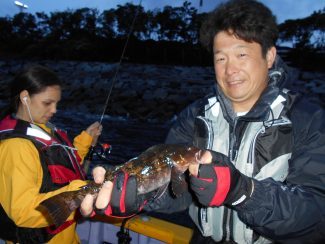 メバルの釣果 16年5月3日 宮川丸 千葉県 木更津港 釣割