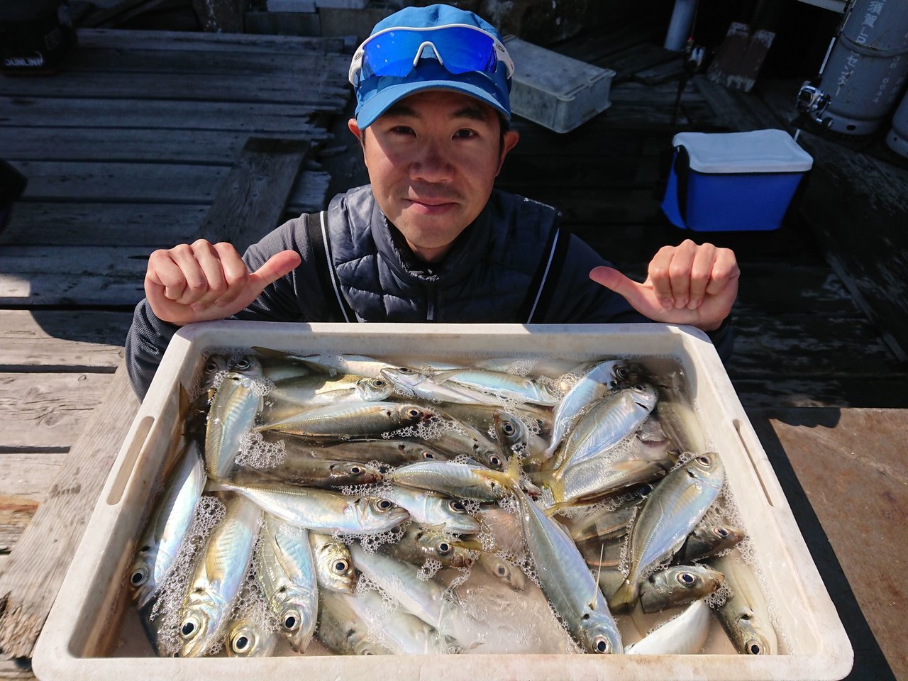 アジの釣果 年3月24日 米元釣船店 神奈川県 金沢八景平潟 釣割