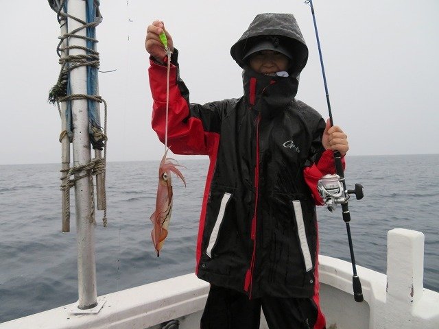 釣果 年7月3日 よしだ丸 京都府 久美浜港 沖釣り最新釣果情報 海釣り 釣り船予約サイト 釣割