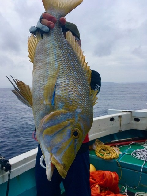 22年8月最新 遊漁船てぃ だ 沖縄県 の最新釣果情報