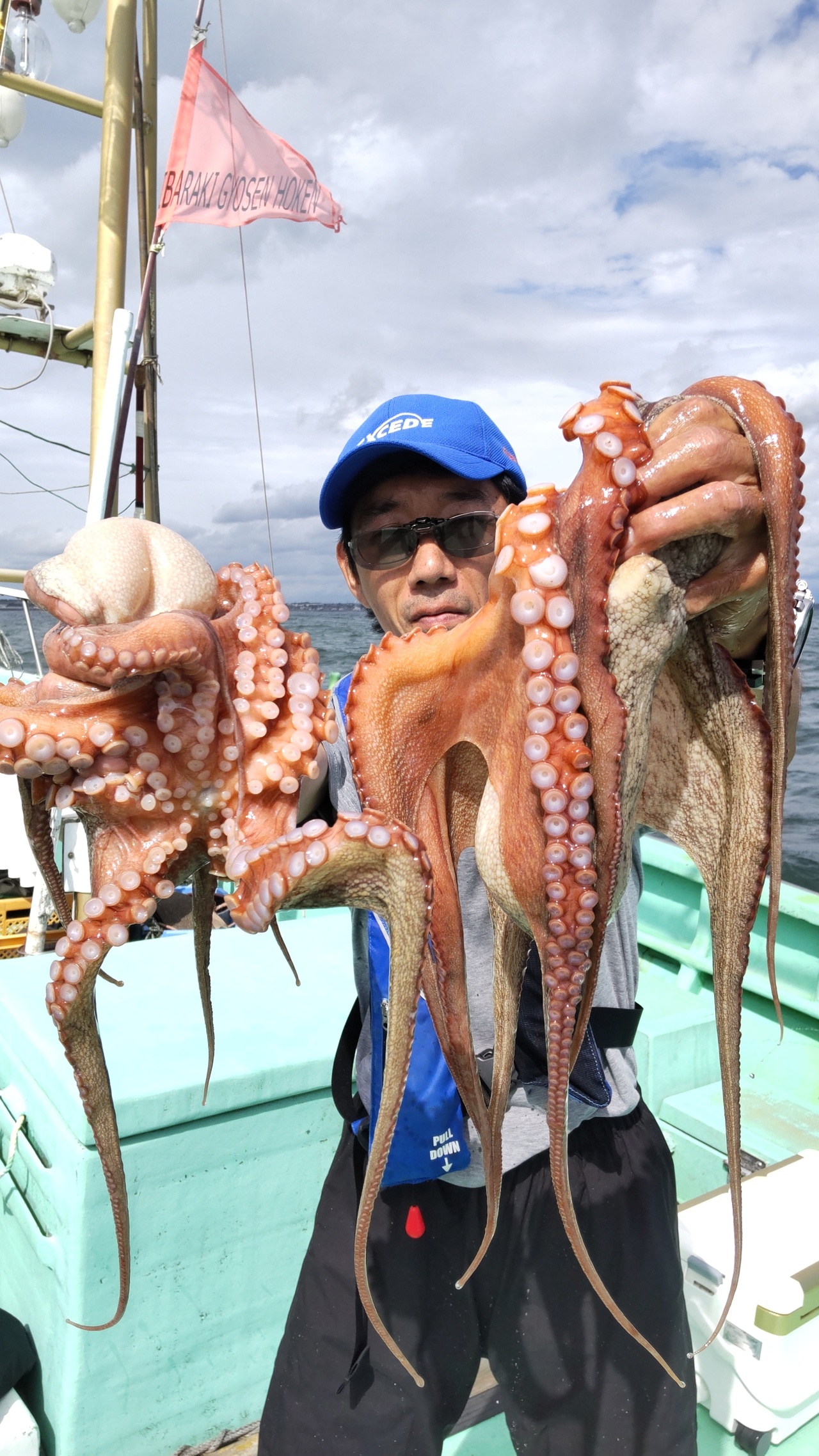 福井県産 アオリイカ19杯 3.8キロ 9/23釣行 - 魚介類