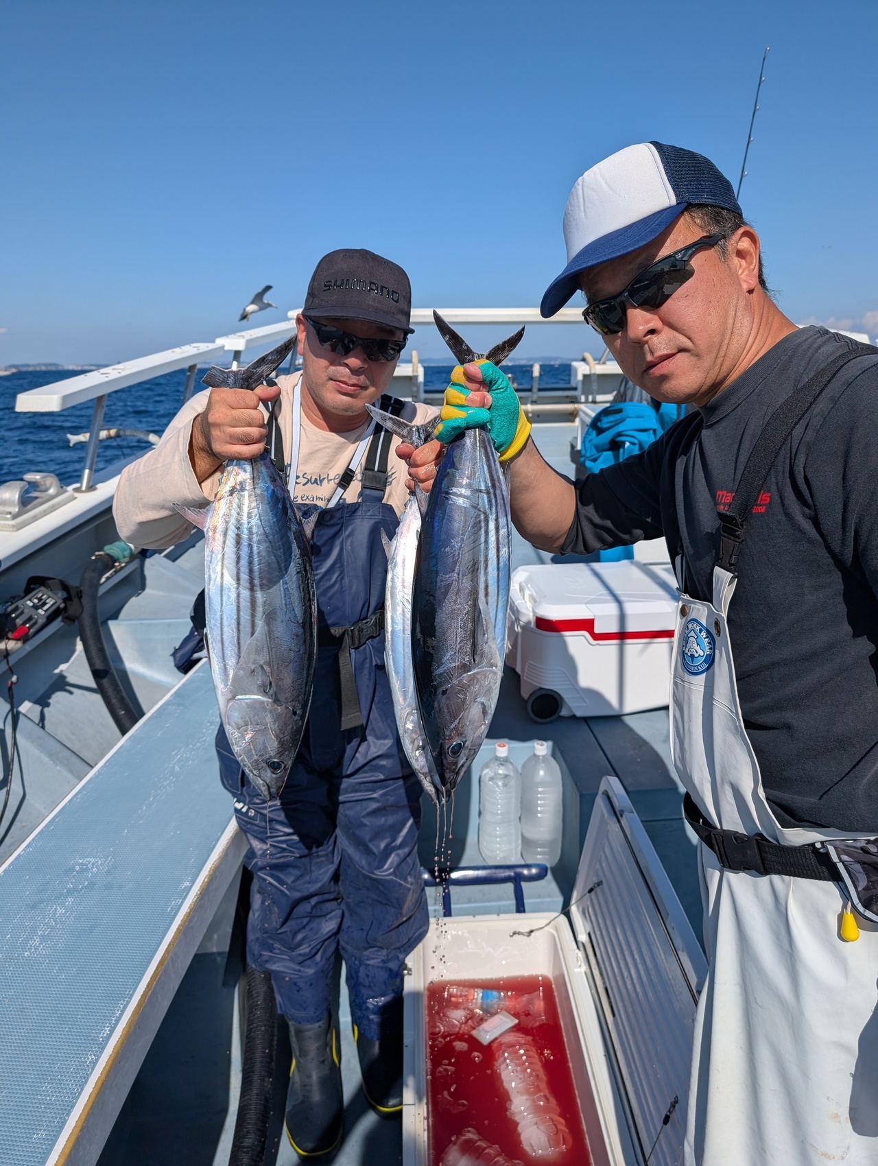 最新釣り情報・釣果｜太郎丸【公式サイト】