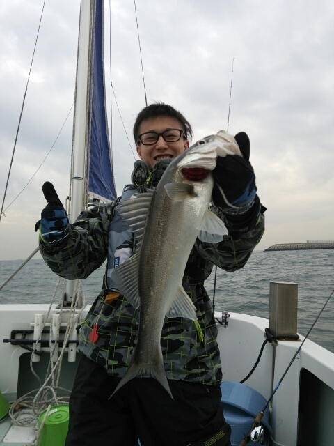 シーバス50cm の釣果 15年1月15日 けやき丸 埼玉 荒川笹目橋上流 釣り船予約 釣割