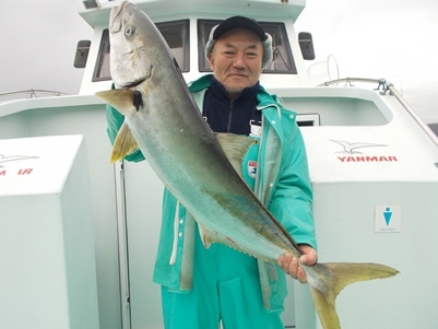 ヒラマサ11 50kg 3匹 の釣果 15年11月日 鯛丸 千葉 小湊漁港 釣り船予約 釣割