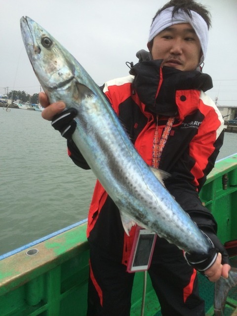 サワラ の釣果 15年12月13日 よしえ丸 千葉 大原港 船釣り予約 キャスティング船釣り予約