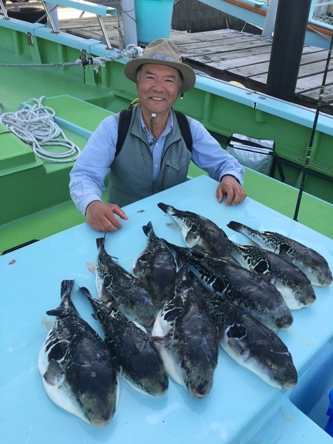 トラフグ4 90kg 10匹 の釣果 16年4月15日 野毛屋釣船店 神奈川 釣割