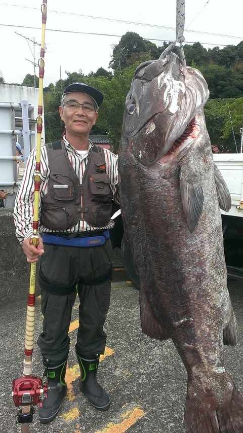 イシナギ72 00kg の釣果 16年7月27日 魚磯丸 静岡 久料港 釣割