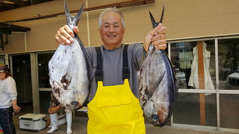 シマガツオ1 50kg 30匹 の釣果 17年5月2日 深田家 神奈川 佐島港 釣り船予約 釣割