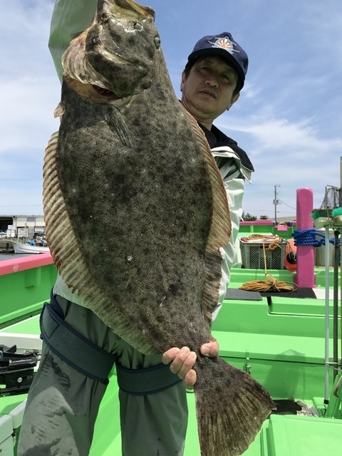 ヒラメ8 kg 3匹 の釣果 17年5月3日 よしえ丸 千葉 大原港 船釣り予約 キャスティング船釣り予約