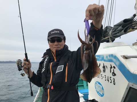 アオリイカ18cm 22匹 の釣果 17年9月16日 なかくに丸 新潟 釣割