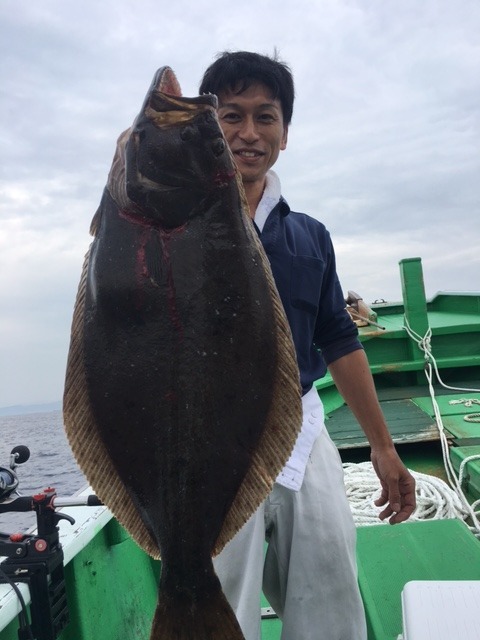 ベスト50 和歌山 ヒラメ すべての魚の画像