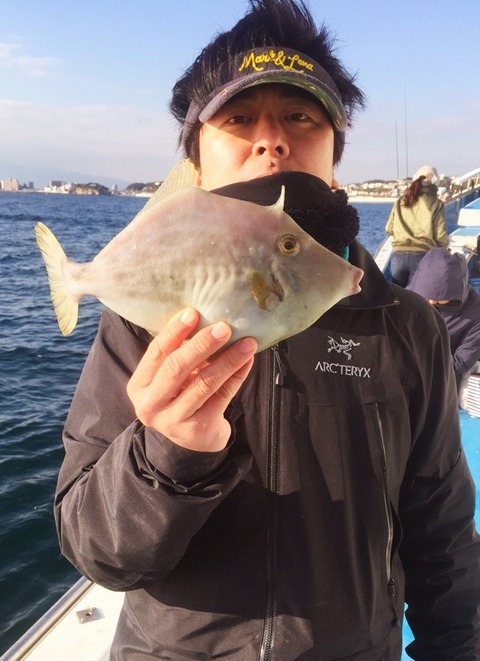 カワハギ の釣果 17年12月2日 船宿 秋田屋 神奈川 釣割