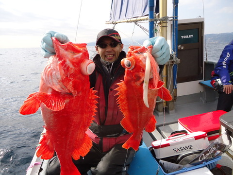 アコウダイ2 40kg の釣果 18年2月16日 かろうや丸 静岡 熱海港 釣り船予約 釣割