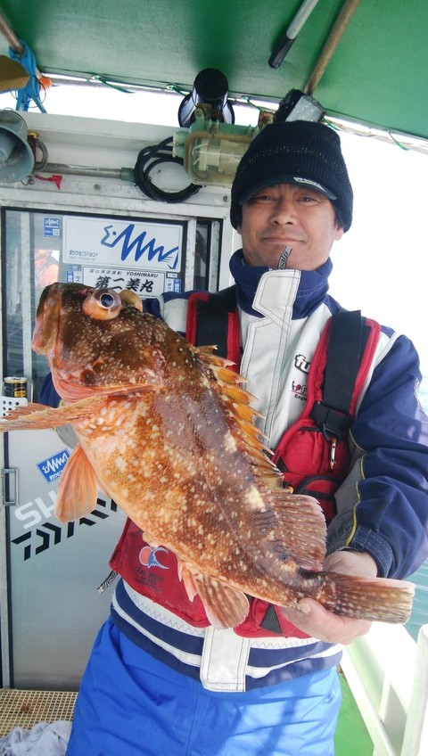 ヤリイカ の釣果 18年3月24日 第二美丸 富山 黒部漁港 釣り船予約 釣割