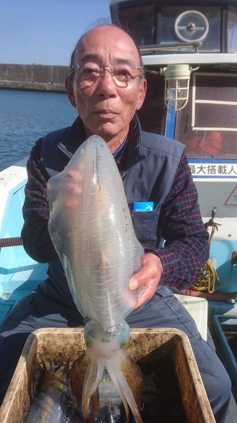 アオリイカ1 90kg 4匹 の釣果 18年3月25日 泰平丸 神奈川 釣割