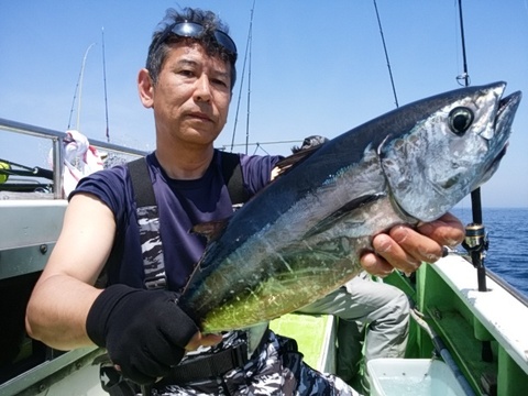 メジマグロ の釣果 18年5月1日 鴨下丸 神奈川 釣割