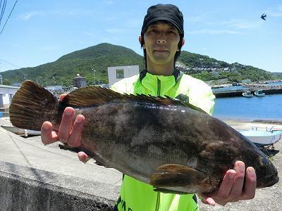 クエ54cm 1匹 の釣果 18年6月16日 上野渡船 Bluewater 和歌山 大引港 船釣り予約 キャスティング船釣り予約