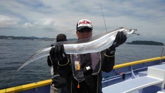 タチウオ121cm 11匹 の釣果 18年6月17日 宮川丸 千葉 木更津港 船釣り予約 キャスティング船釣り予約