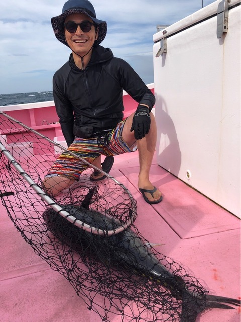 メジマグロ の釣果 18年6月27日 山正丸 千葉 大原港 釣り船予約 釣割