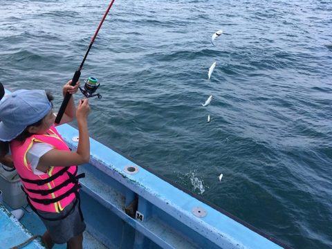 アジ の釣果 18年7月16日 松鶴丸 千葉 大原港 釣り船予約 釣割