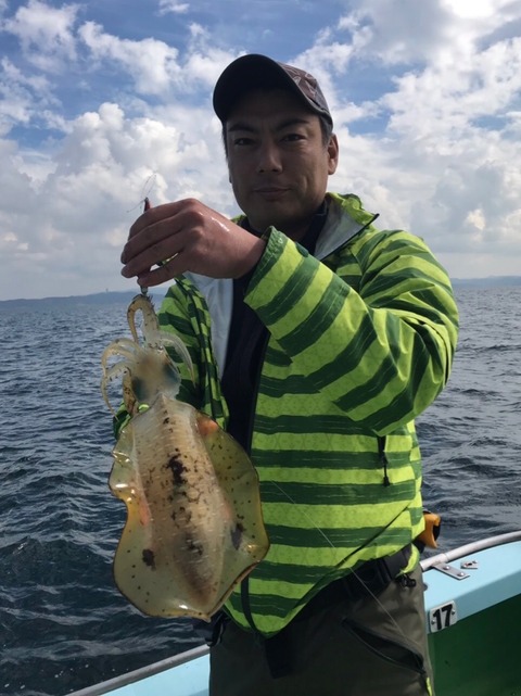 アオリイカ0 80kg 5匹 の釣果 18年10月17日 野毛屋釣船店 神奈川 金沢八景平潟 釣り船予約 釣割