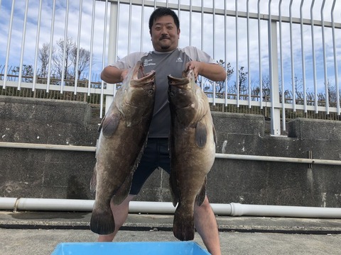 クエ12 10kg 2匹 の釣果 18年10月18日 生駒丸 静岡 釣割