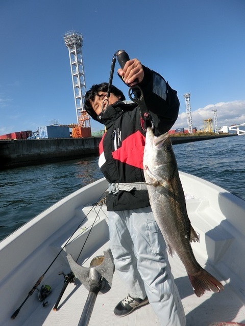 シーバス62cm 1匹 の釣果 18年11月2日 Fujiyama 大阪 大阪マリンターミナル 釣り船予約 釣割