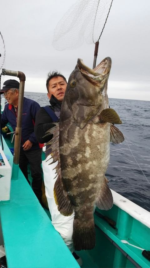 モロコ の釣果 18年11月9日 恭丸 千葉 乙浜漁港 船釣り予約 キャスティング船釣り予約