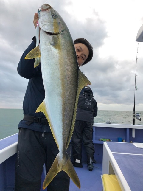 ヒラマサ9 00kg 4匹 の釣果 18年11月18日 新勝丸 千葉 川津港 釣り船予約 釣割