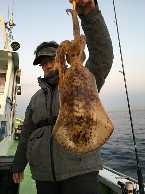 アオリ1 40kg 8匹 の釣果 18年11月21日 宝生丸 千葉 勝山漁港 釣り船予約 釣割