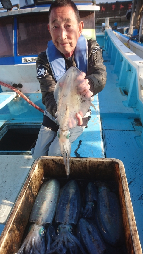 アオリイカ1 00kg 5匹 の釣果 18年11月27日 泰平丸 神奈川 釣割