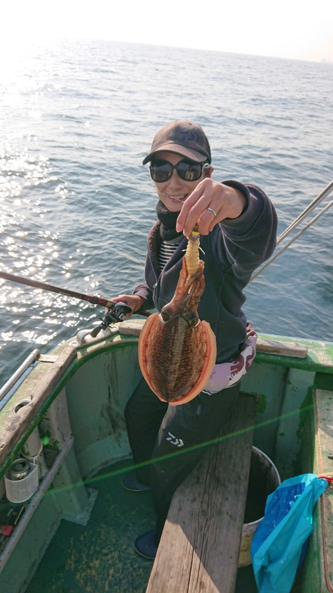 スミイカ0 70kg 13匹 の釣果 18年11月28日 新明丸 神奈川 鶴見川 釣り船予約 釣割
