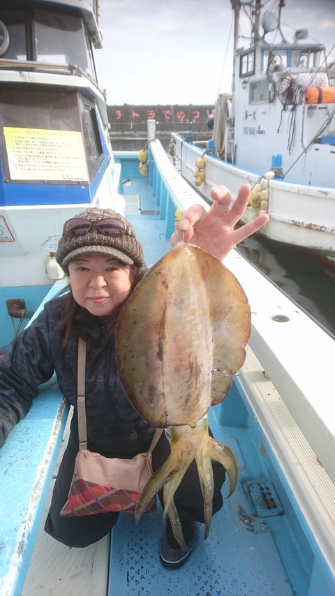 アオリイカ1 10kg 3匹 の釣果 18年12月3日 泰平丸 神奈川 小田原新港 船釣り予約 キャスティング船釣り予約