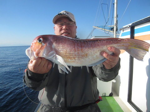 カワハギ29cm 10匹 の釣果 19年1月4日 巳之助丸 神奈川 久比里港 釣り船予約 釣割