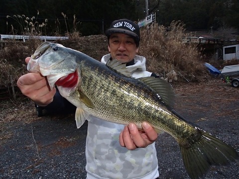 ブラックバス45cm の釣果 19年2月11日 スロープ レンタルボート ロクマル 奈良 七色ダム 釣割