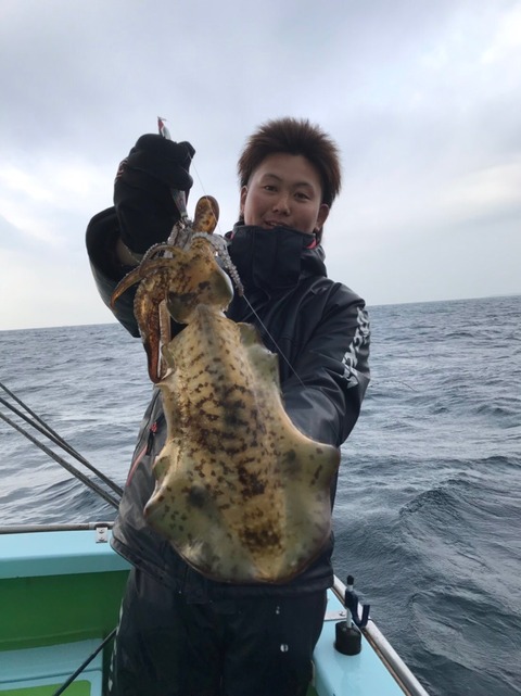 アオリイカ1 80kg 6匹 の釣果 19年2月26日 野毛屋釣船店 神奈川 金沢八景平潟 釣り船予約 釣割