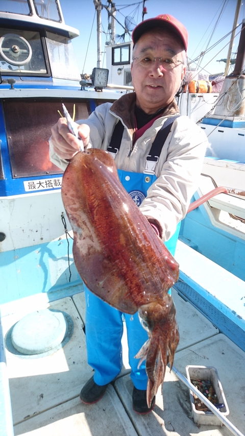 アオリイカ1 90kg 2匹 の釣果 19年3月8日 泰平丸 神奈川 釣割