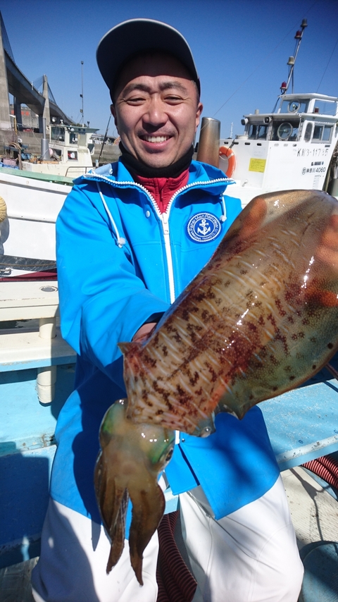 アオリイカ1 50kg 2匹 の釣果 19年3月9日 泰平丸 神奈川 釣割