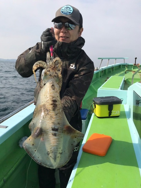 アオリイカ2 kg 9匹 の釣果 19年3月16日 野毛屋釣船店 神奈川 釣割
