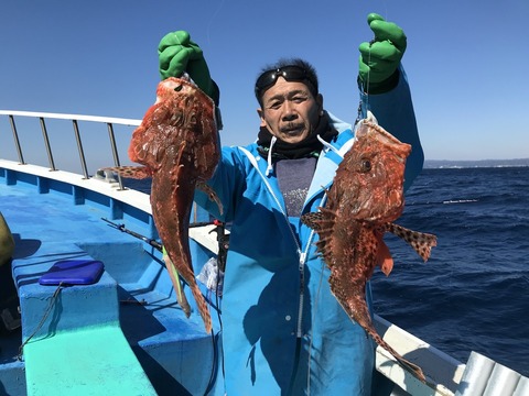 オニカサゴ2 10kg 5匹 の釣果 19年3月24日 勝丸 勝浦 千葉 勝浦港 釣り船予約 釣割