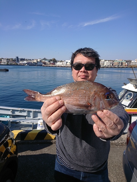 マダイ39cm 2匹 の釣果 19年4月13日 一休丸 神奈川 城ヶ島 釣り船予約 釣割