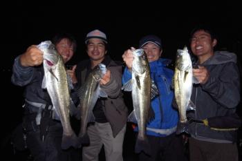 シーバス65cm 30匹 の釣果 19年4月日 Seamagical 大阪 旧堺港 クリエイション 釣り船予約 釣割