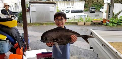 シマガツオ1 50kg 匹 の釣果 19年4月27日 深田家 神奈川 佐島港 釣り船予約 釣割