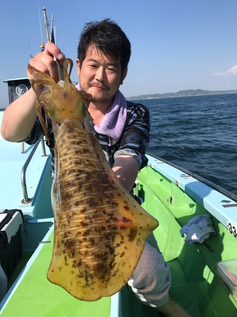 アオリイカ2 80kg 3匹 の釣果 19年5月11日 野毛屋釣船店 神奈川 金沢八景平潟 釣り船予約 釣割