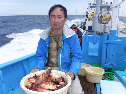 メバル の釣果 19年5月6日 栄光丸 茨城 大洗港 船釣り予約 キャスティング船釣り予約