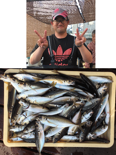 アジ25cm 61匹 の釣果 19年5月19日 荒川屋 神奈川 金沢八景平潟 船釣り予約 キャスティング船釣り予約