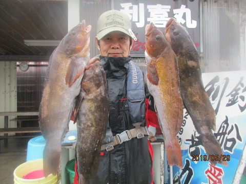 アイナメ60cm 15匹 の釣果 19年5月29日 利喜丸 茨城 釣割