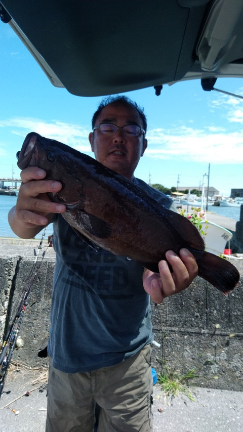 マハタ の釣果 19年8月6日 富士丸 千葉 大原港 釣り船予約 釣割