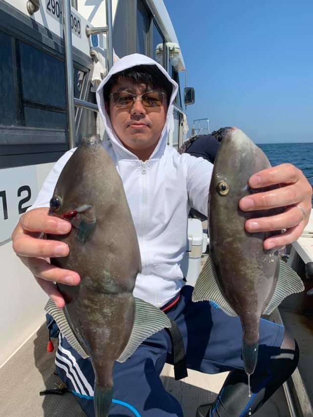 ウマヅラハギ の釣果 19年9月15日 船井丸 広島 丹那漁港 釣り船予約 釣割