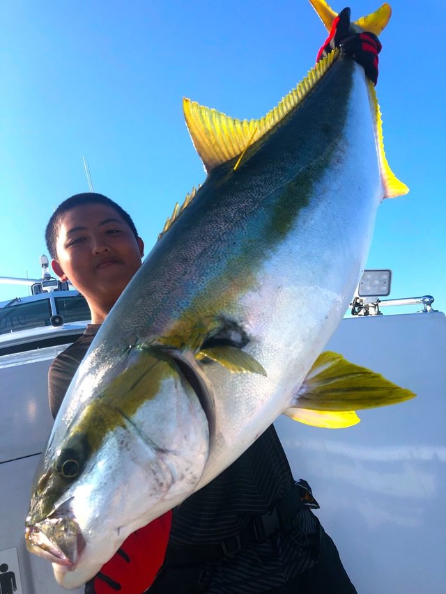 ヒラマサ90cm の釣果 19年9月27日 宏昌丸 千葉 川津港 船釣り予約 キャスティング船釣り予約